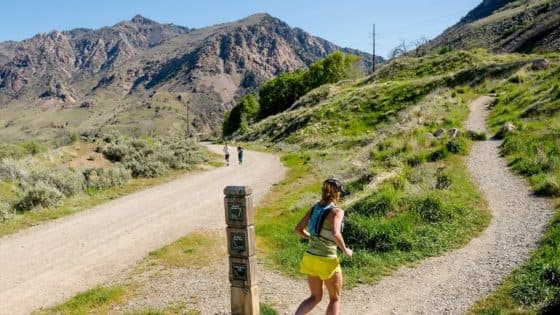 Backcountry Memorial Day 2026 : quels équipements trail valent leurs remises ?